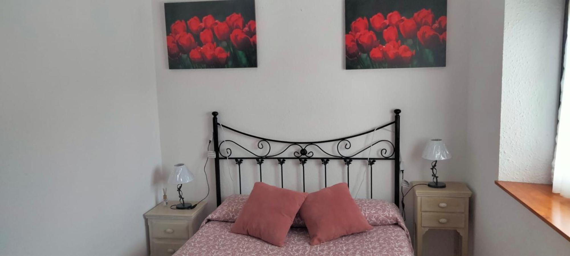 Apartamentos Turisticos El Ponton 阿内罗 外观 照片